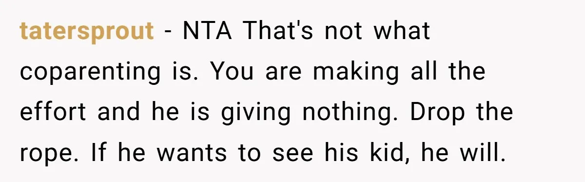 tatersprout − NTA That's not what coparenting is. You are making all the effort and he is giving nothing. Drop the rope. If he wants to see his kid, he...