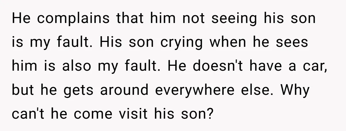 He complains that him not seeing his son is my fault. His son crying when he sees him is also my fault. He doesn't have a car, but he gets...