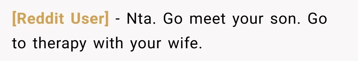 [Reddit User] − Nta. Go meet your son. Go to therapy with your wife.