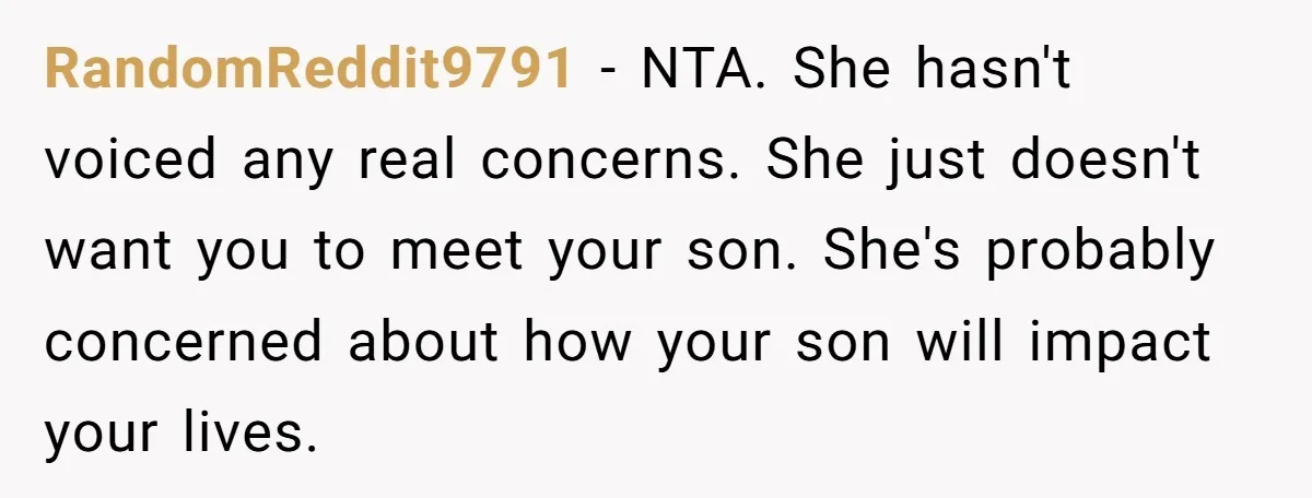 RandomReddit9791 − NTA. She hasn't voiced any real concerns. She just doesn't want you to meet your son. She's probably concerned about how your son will impact your lives.