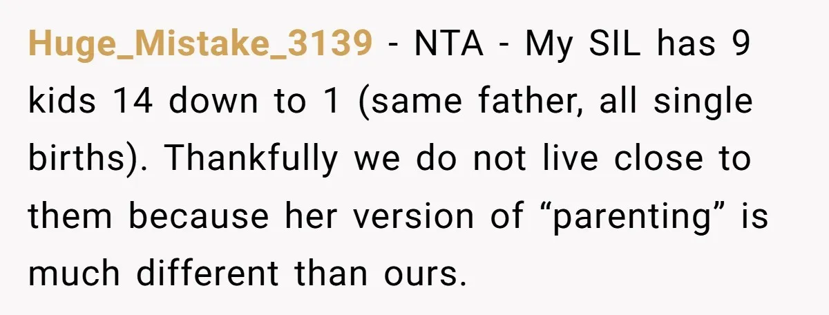 Huge_Mistake_3139 − NTA - My SIL has 9 kids 14 down to 1 (same father, all single births). Thankfully we do not live close to them because her version of...