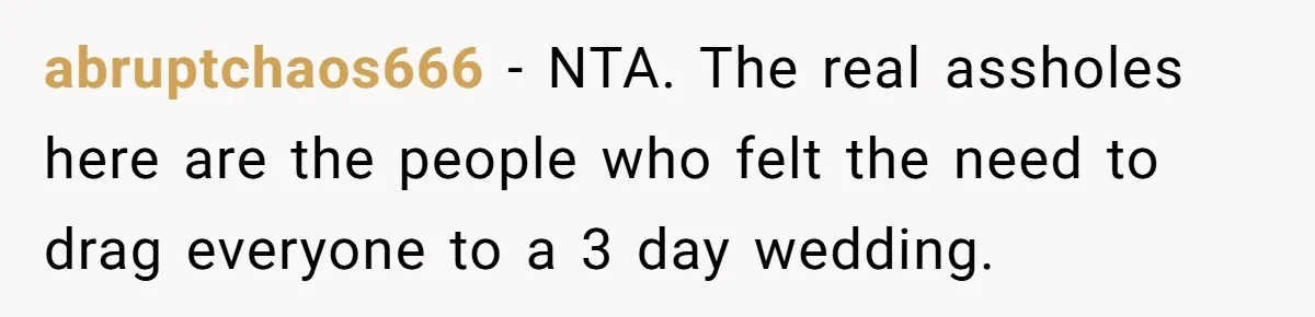 abruptchaos666 − NTA. The real assholes here are the people who felt the need to drag everyone to a 3 day wedding.