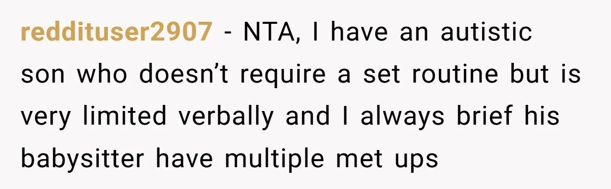 reddituser2907 − NTA, I have an autistic son who doesn’t require a set routine but is very limited verbally and I always brief his babysitter have multiple met ups
