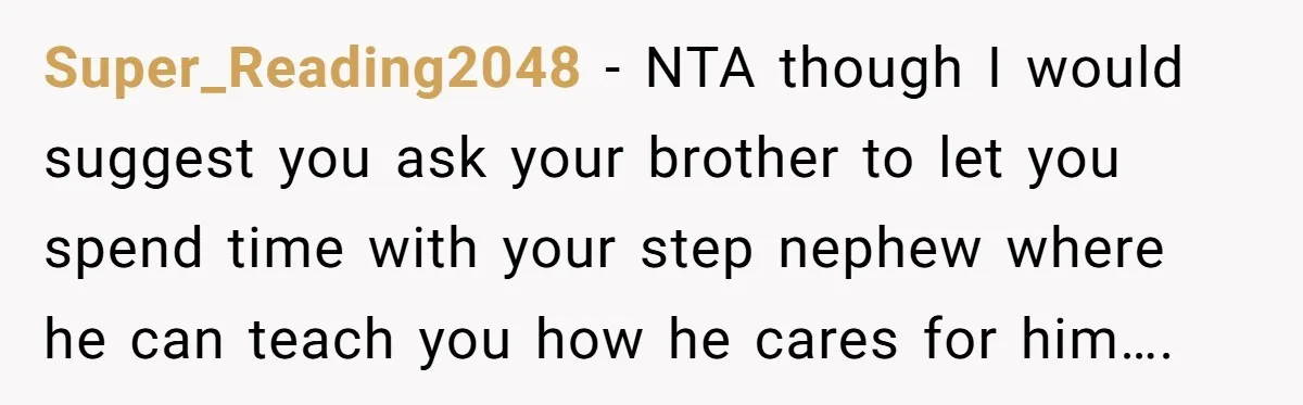 Super_Reading2048 − NTA though I would suggest you ask your brother to let you spend time with your step nephew where he can teach you how he cares for him….