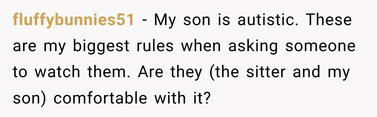 fluffybunnies51 − My son is autistic. These are my biggest rules when asking someone to watch them. Are they (the sitter and my son) comfortable with it?