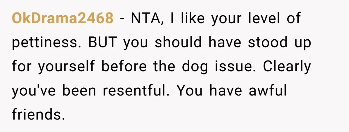 OkDrama2468 − NTA, I like your level of pettiness. BUT you should have stood up for yourself before the dog issue. Clearly you've been resentful. You have awful friends.