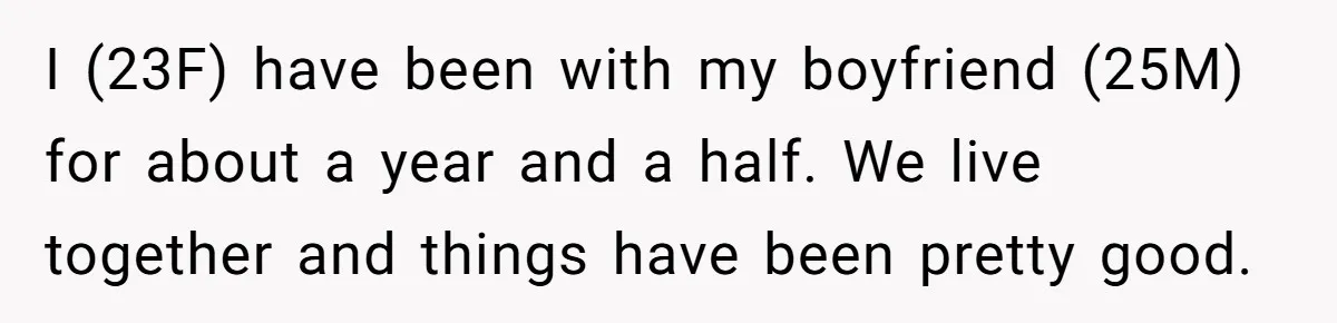 I (23F) have been with my boyfriend (25M) for about a year and a half. We live together and things have been pretty good.