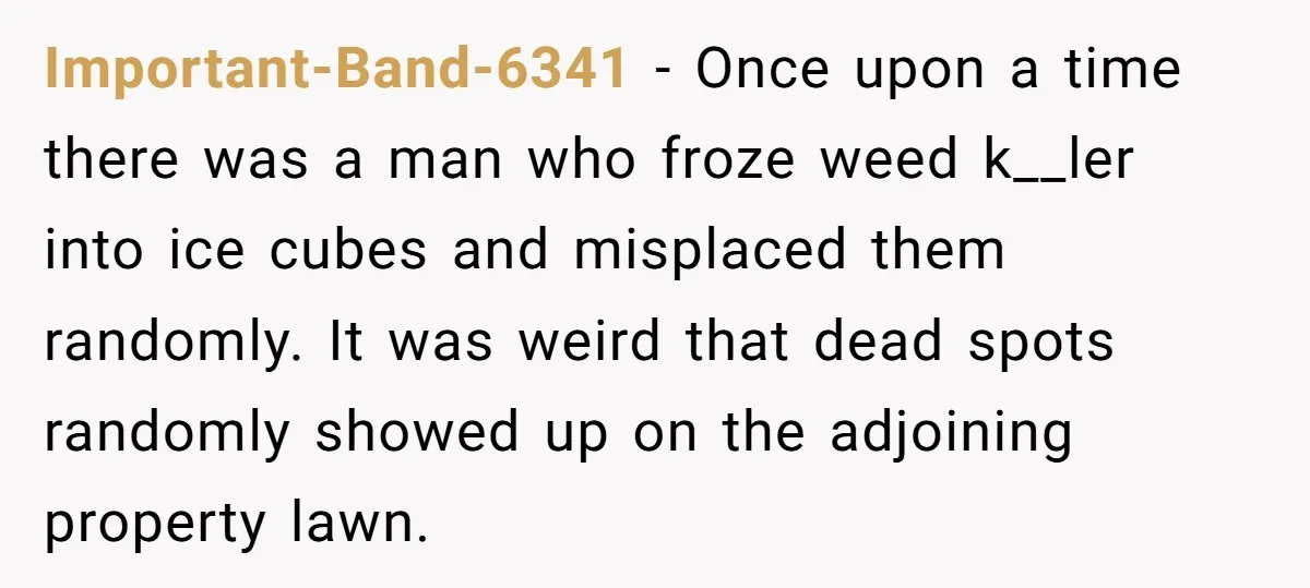 Important-Band-6341 − Once upon a time there was a man who froze weed k__ler into ice cubes and misplaced them randomly. It was weird that dead spots randomly showed up...