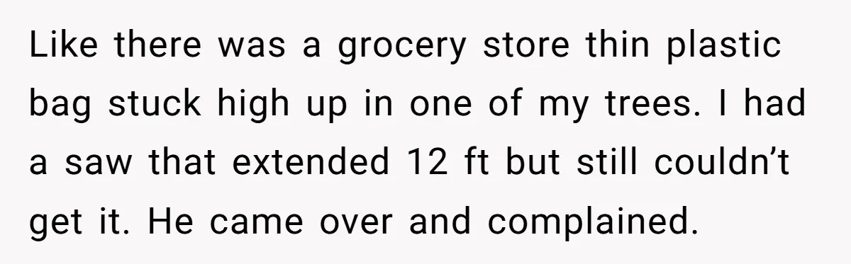 Like there was a grocery store thin plastic bag stuck high up in one of my trees. I had a saw that extended 12 ft but still couldn’t get it....