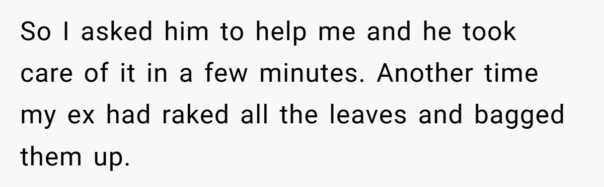So I asked him to help me and he took care of it in a few minutes. Another time my ex had raked all the leaves and bagged them up.