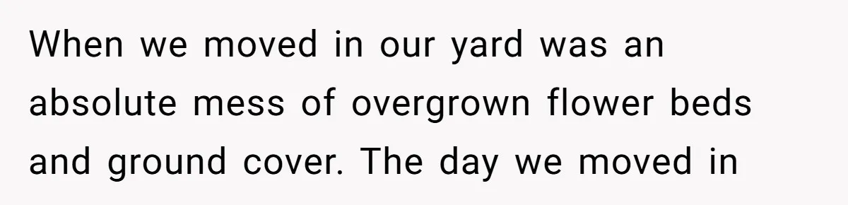 When we moved in our yard was an absolute mess of overgrown flower beds and ground cover. The day we moved in