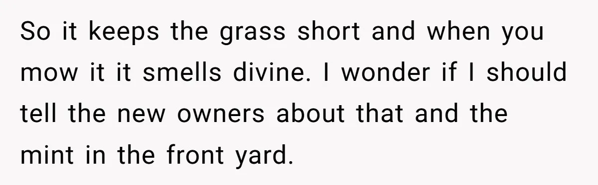 So it keeps the grass short and when you mow it it smells divine. I wonder if I should tell the new owners about that and the mint in the...
