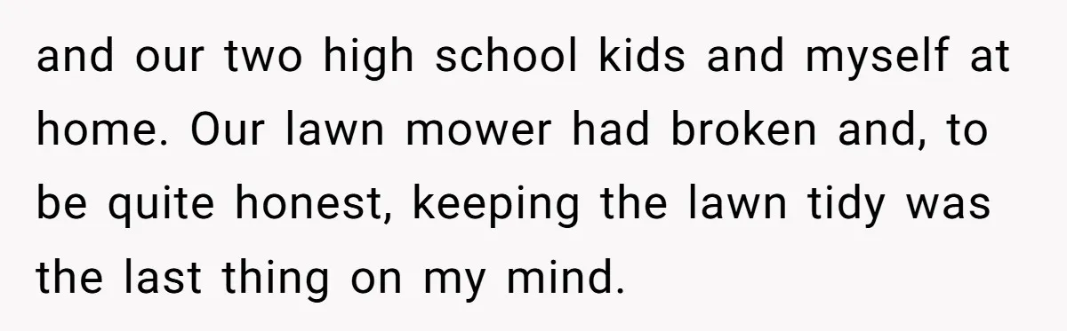 and our two high school kids and myself at home. Our lawn mower had broken and, to be quite honest, keeping the lawn tidy was the last thing on my...