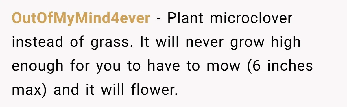 OutOfMyMind4ever − Plant microclover instead of grass. It will never grow high enough for you to have to mow (6 inches max) and it will flower.