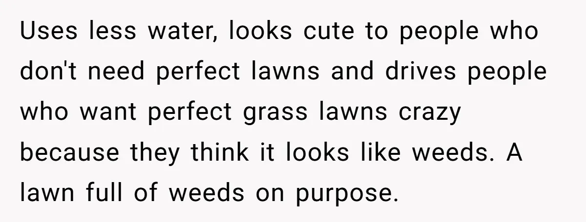 Uses less water, looks cute to people who don't need perfect lawns and drives people who want perfect grass lawns crazy because they think it looks like weeds. A lawn...