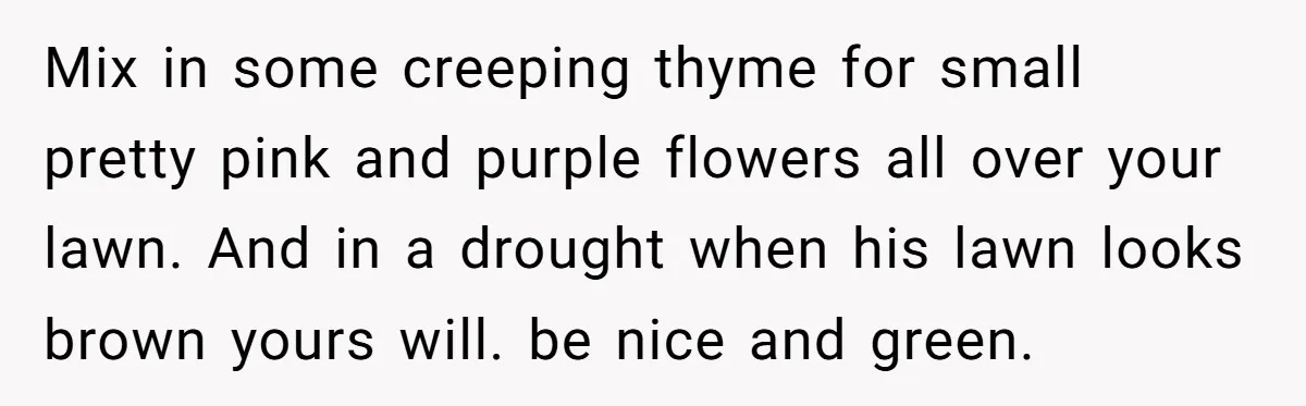 Mix in some creeping thyme for small pretty pink and purple flowers all over your lawn. And in a drought when his lawn looks brown yours will. be nice and...