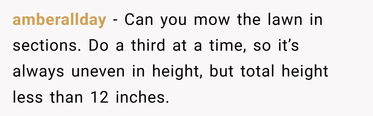 amberallday − Can you mow the lawn in sections. Do a third at a time, so it’s always uneven in height, but total height less than 12 inches.