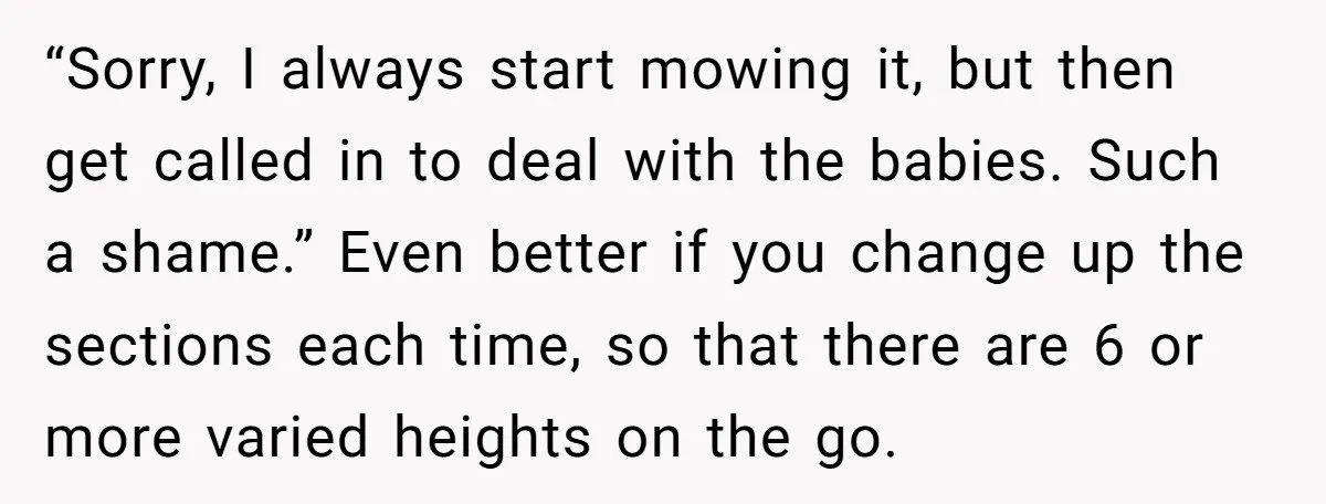 “Sorry, I always start mowing it, but then get called in to deal with the babies. Such a shame.” Even better if you change up the sections each time, so...