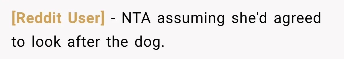 [Reddit User] − NTA assuming she'd agreed to look after the dog.