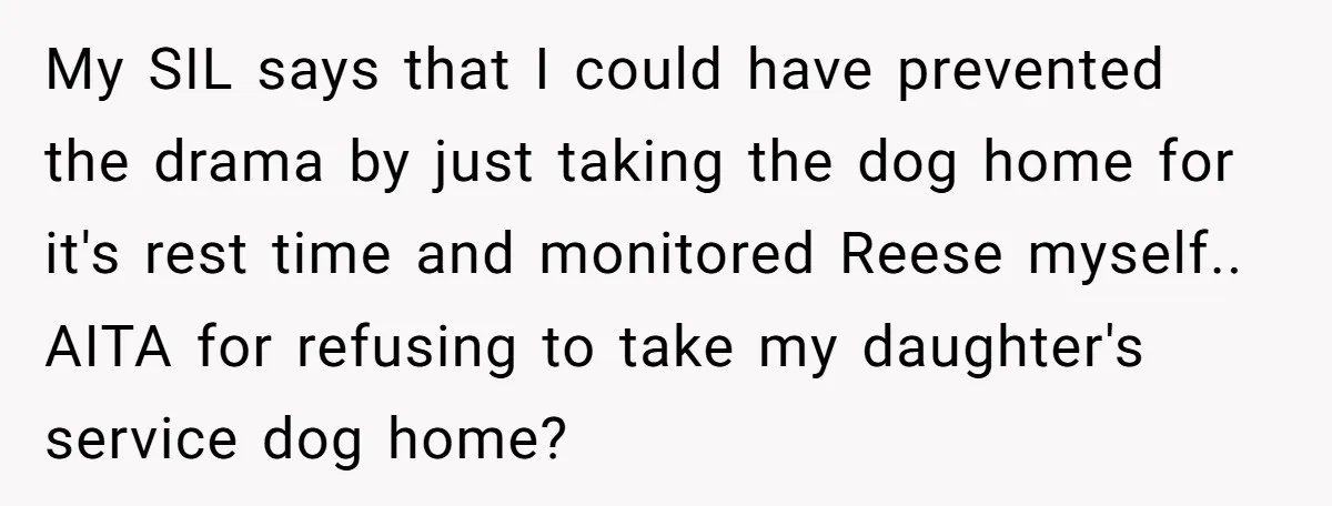 My SIL says that I could have prevented the drama by just taking the dog home for it's rest time and monitored Reese myself.. AITA for refusing to take my...