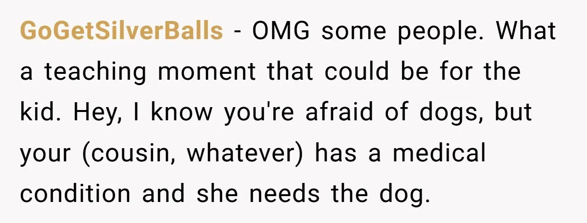 GoGetSilverBalls − OMG some people. What a teaching moment that could be for the kid. Hey, I know you're afraid of dogs, but your (cousin, whatever) has a medical condition...