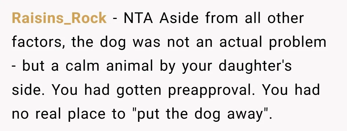 Raisins_Rock − NTA Aside from all other factors, the dog was not an actual problem - but a calm animal by your daughter's side. You had gotten preapproval. You had...