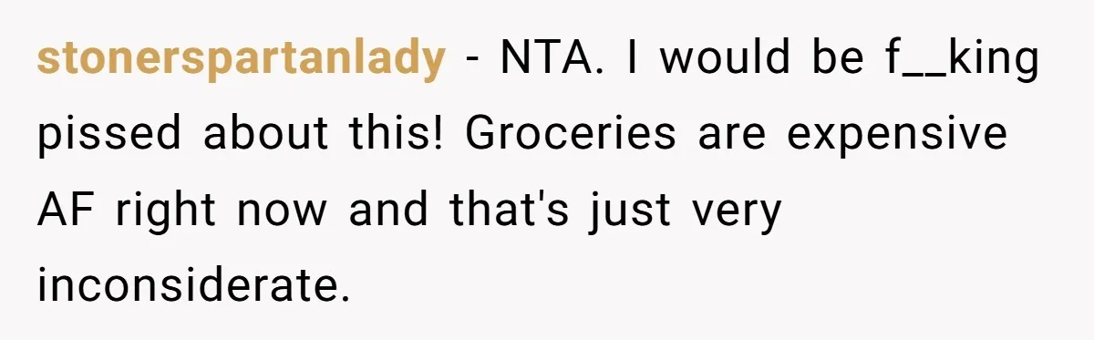 stonerspartanlady − NTA. I would be f__king pissed about this! Groceries are expensive AF right now and that's just very inconsiderate.