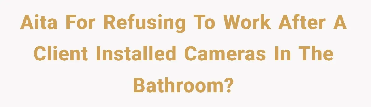 AITA for Refusing to Work After a Client Installed Cameras in the Bathroom?