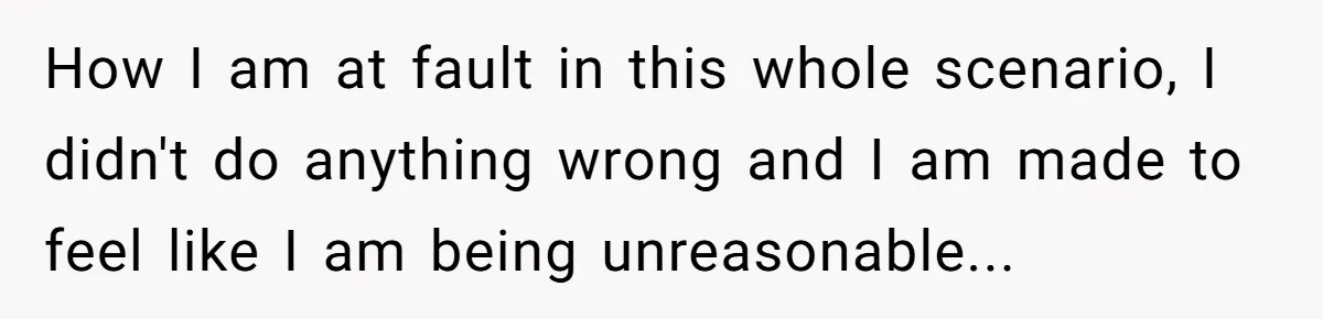 How I am at fault in this whole scenario, I didn't do anything wrong and I am made to feel like I am being unreasonable...