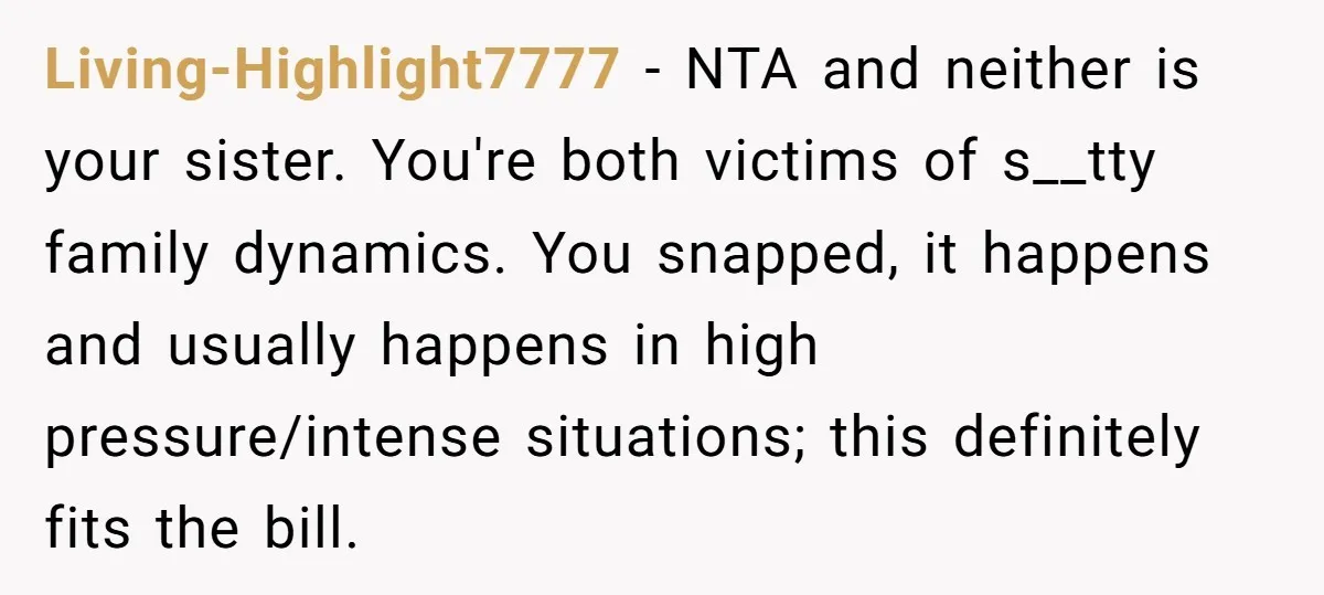 Living-Highlight7777 − NTA and neither is your sister. You're both victims of s__tty family dynamics. You snapped, it happens and usually happens in high pressure/intense situations; this definitely fits the...