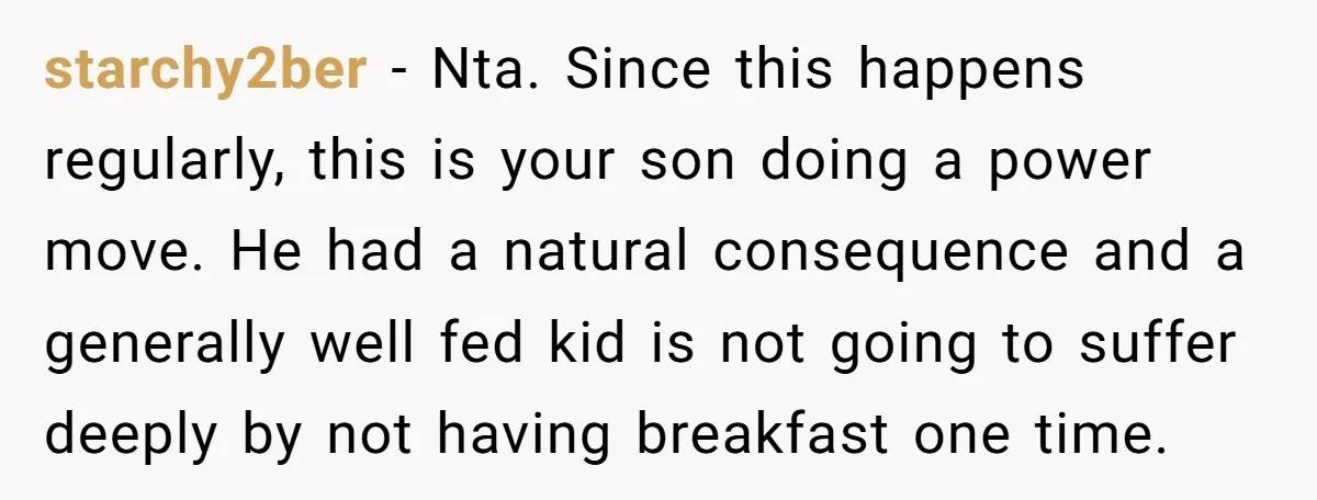 starchy2ber − Nta. Since this happens regularly, this is your son doing a power move. He had a natural consequence and a generally well fed kid is not going to...