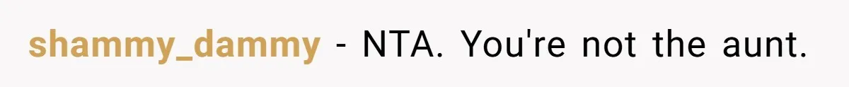 shammy_dammy - NTA. You're not the aunt.