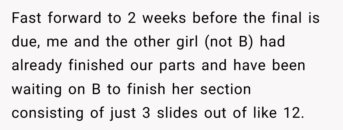 Fast forward to 2 weeks before the final is due, me and the other girl (not B) had already finished our parts and have been waiting on B to finish...
