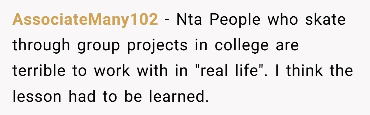 AssociateMany102 − Nta People who skate through group projects in college are terrible to work with in "real life". I think the lesson had to be learned.
