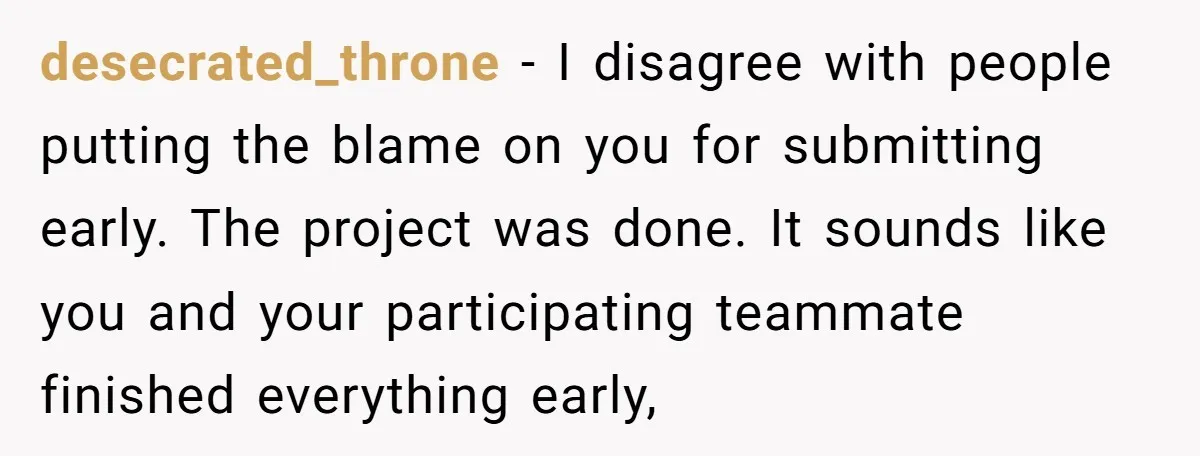 desecrated_throne − I disagree with people putting the blame on you for submitting early. The project was done. It sounds like you and your participating teammate finished everything early,