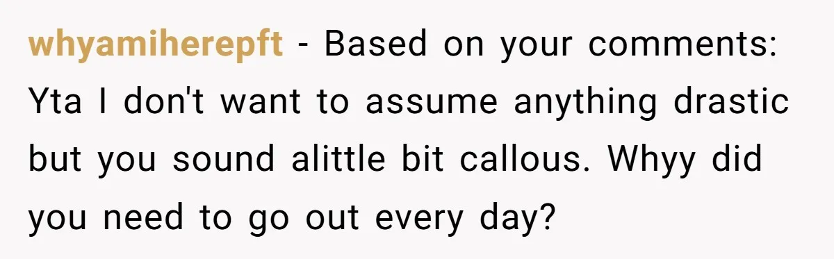 whyamiherepft − Based on your comments: Yta I don't want to assume anything drastic but you sound alittle bit callous. Whyy did you need to go out every day?