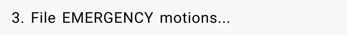 3. File EMERGENCY motions...