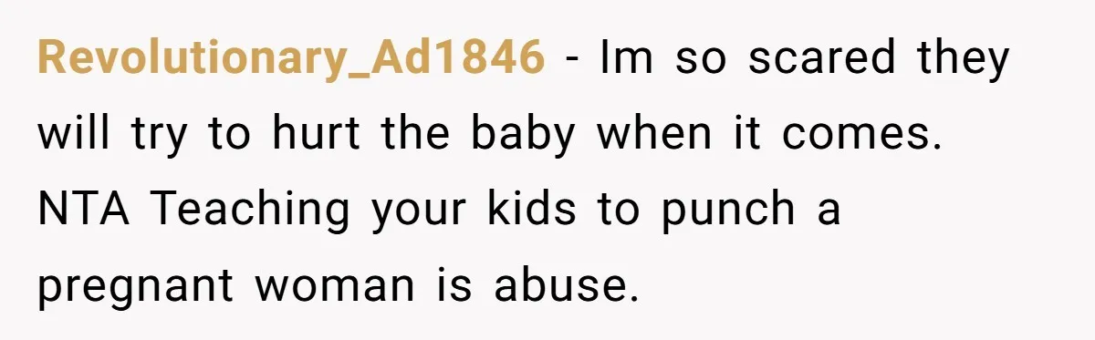 Revolutionary_Ad1846 - Im so scared they will try to hurt the baby when it comes. NTA Teaching your kids to punch a pregnant woman is abuse.