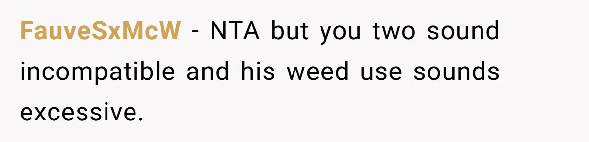 FauveSxMcW − NTA but you two sound incompatible and his weed use sounds excessive.