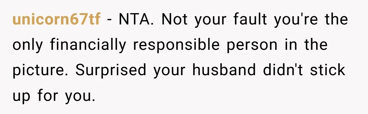 unicorn67tf − NTA. Not your fault you're the only financially responsible person in the picture. Surprised your husband didn't stick up for you.