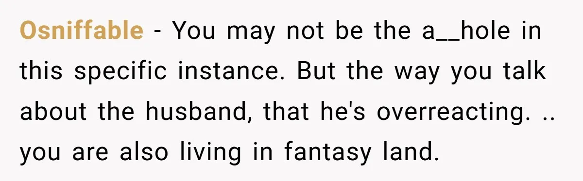 Osniffable − You may not be the a__hole in this specific instance. But the way you talk about the husband, that he's overreacting. .. you are also living in fantasy...