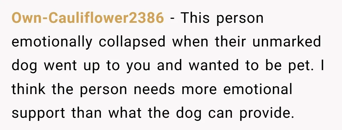 Own-Cauliflower2386 - This person emotionally collapsed when their unmarked dog went up to you and wanted to be pet. I think the person needs more emotional support than what the...