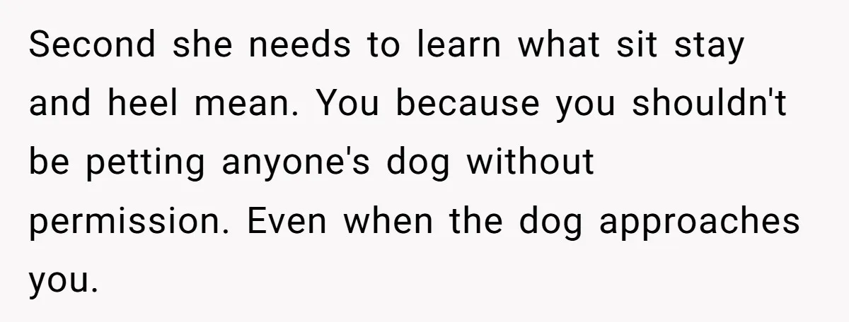 Second she needs to learn what sit stay and heel mean. You because you shouldn't be petting anyone's dog without permission. Even when the dog approaches you.