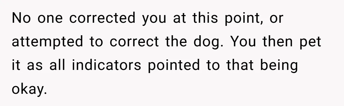 No one corrected you at this point, or attempted to correct the dog. You then pet it as all indicators pointed to that being okay.