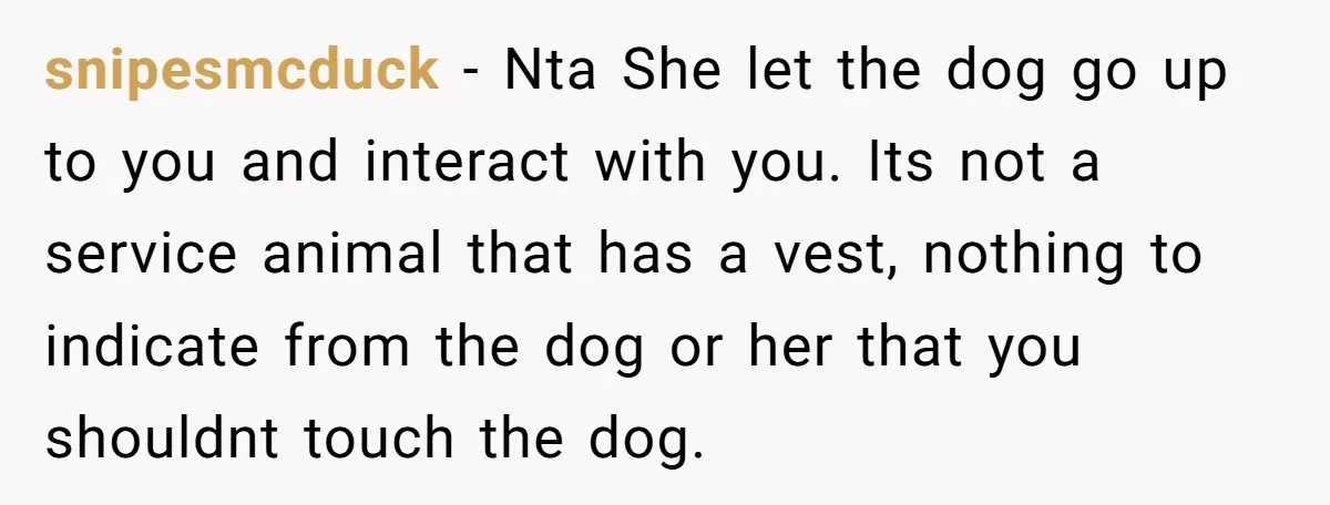 snipesmcduck - Nta She let the dog go up to you and interact with you. Its not a service animal that has a vest, nothing to indicate from the dog...
