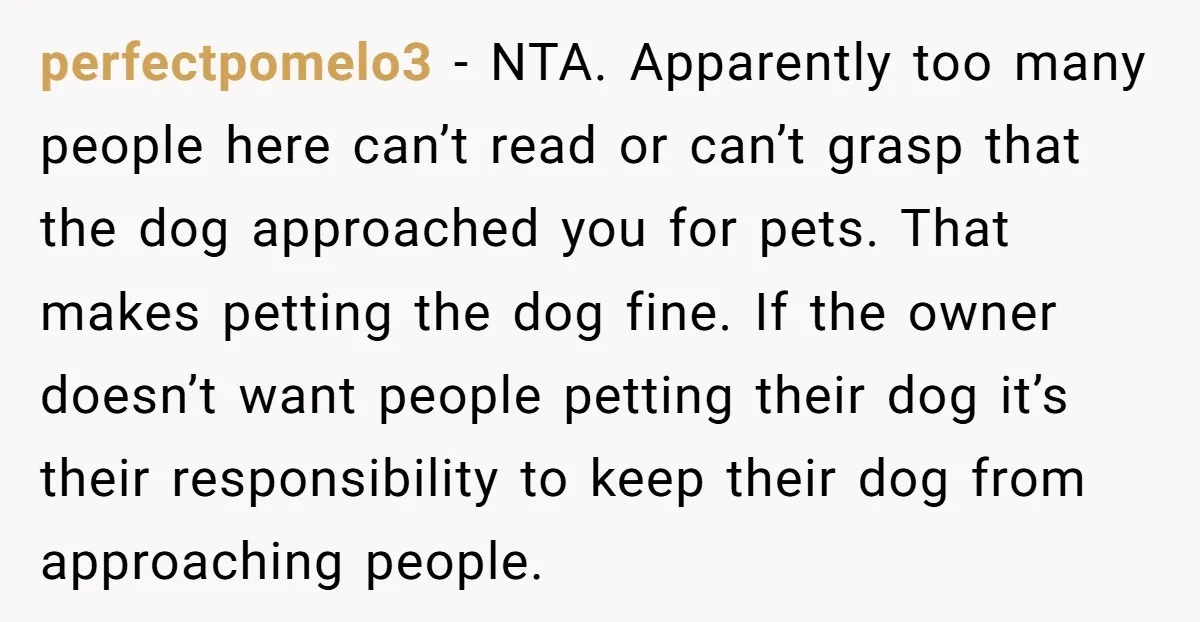 perfectpomelo3 - NTA. Apparently too many people here can’t read or can’t grasp that the dog approached you for pets. That makes petting the dog fine. If the owner doesn’t...