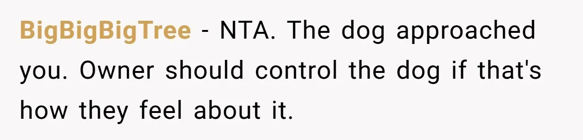 BigBigBigTree - NTA. The dog approached you. Owner should control the dog if that's how they feel about it.