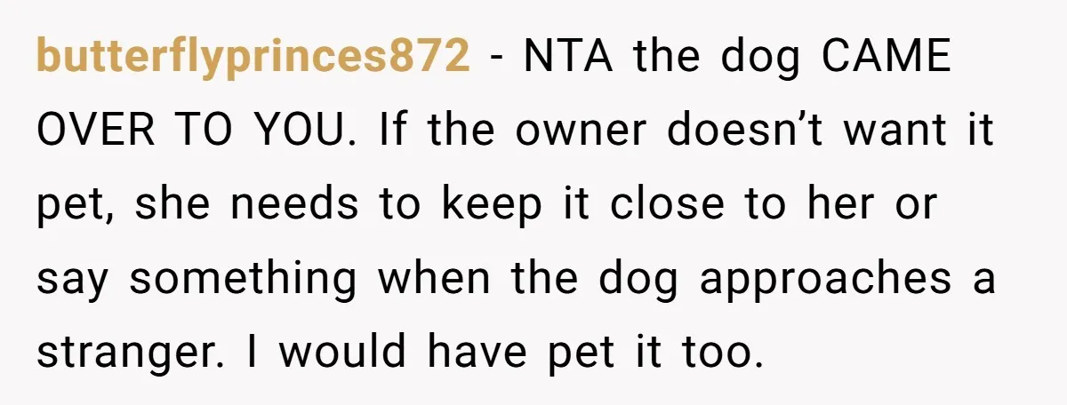 butterflyprinces872 - NTA the dog CAME OVER TO YOU. If the owner doesn’t want it pet, she needs to keep it close to her or say something when the dog...
