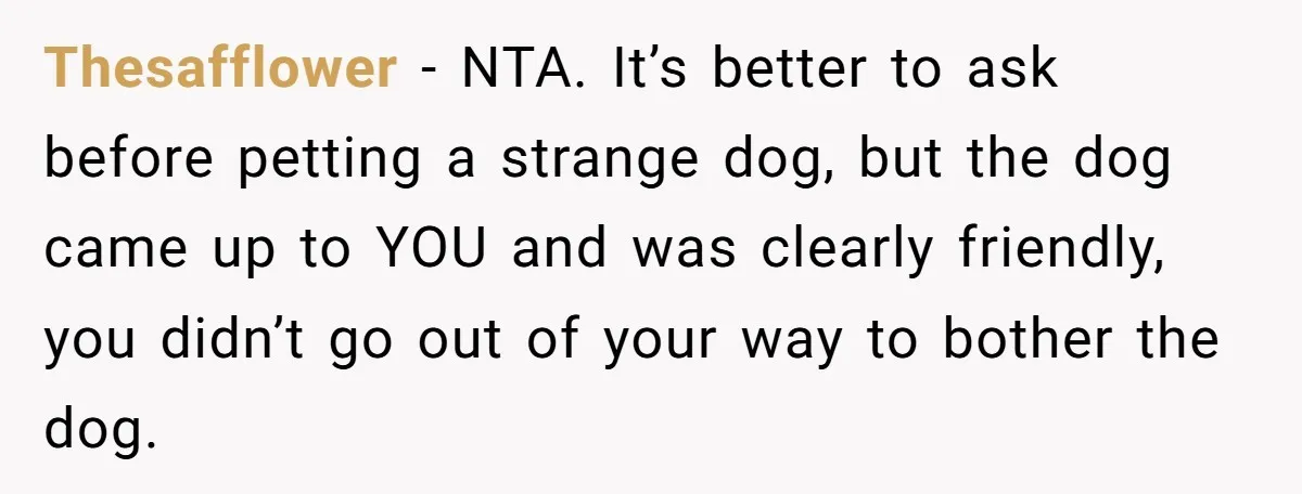 Thesafflower - NTA. It’s better to ask before petting a strange dog, but the dog came up to YOU and was clearly friendly, you didn’t go out of your way...