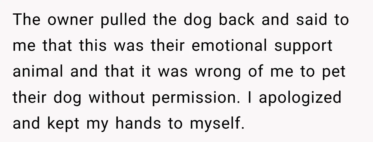 The owner pulled the dog back and said to me that this was their emotional support animal and that it was wrong of me to pet their dog without permission....